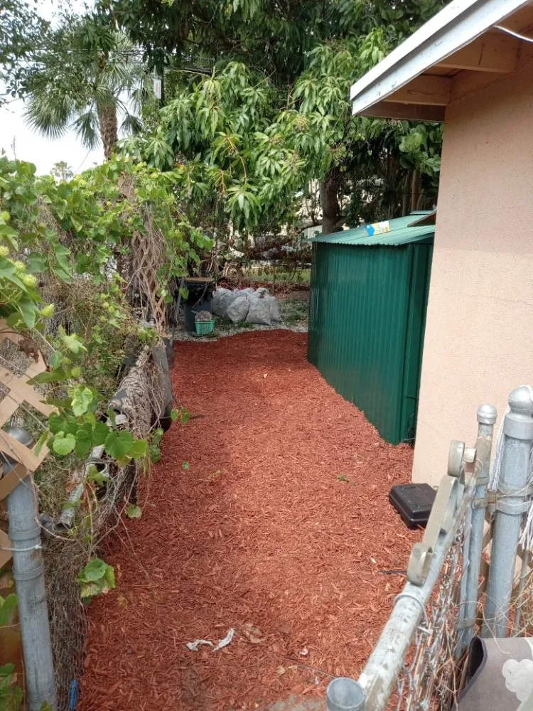 Expert outdoor landscaping for year-round maintenance in Riviera Beach, FL by Smith Advance Landscape