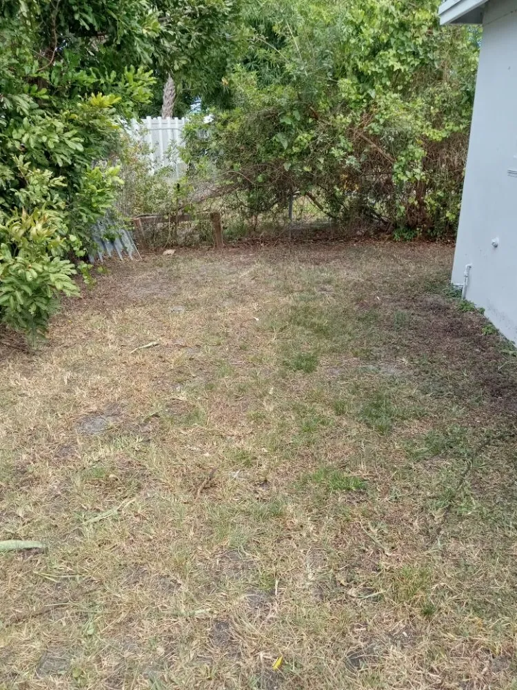 Expert residential landscaping for outdoor upgrades across Riviera Beach, FL - Smith Advance Landscape