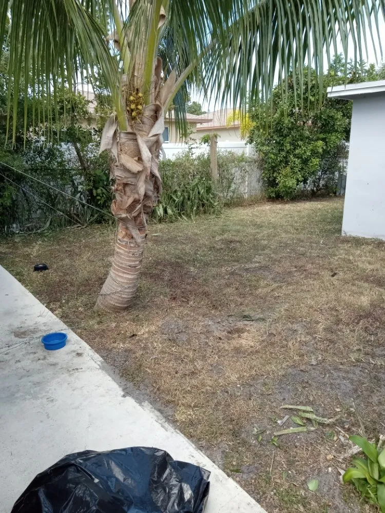 Trusted garden landscaping for year-round maintenance in Riviera Beach, FL by Smith Advance Landscape