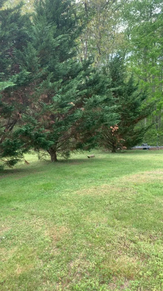 Custom yard maintenance in London, KY by Smith and Guth Lawn Care