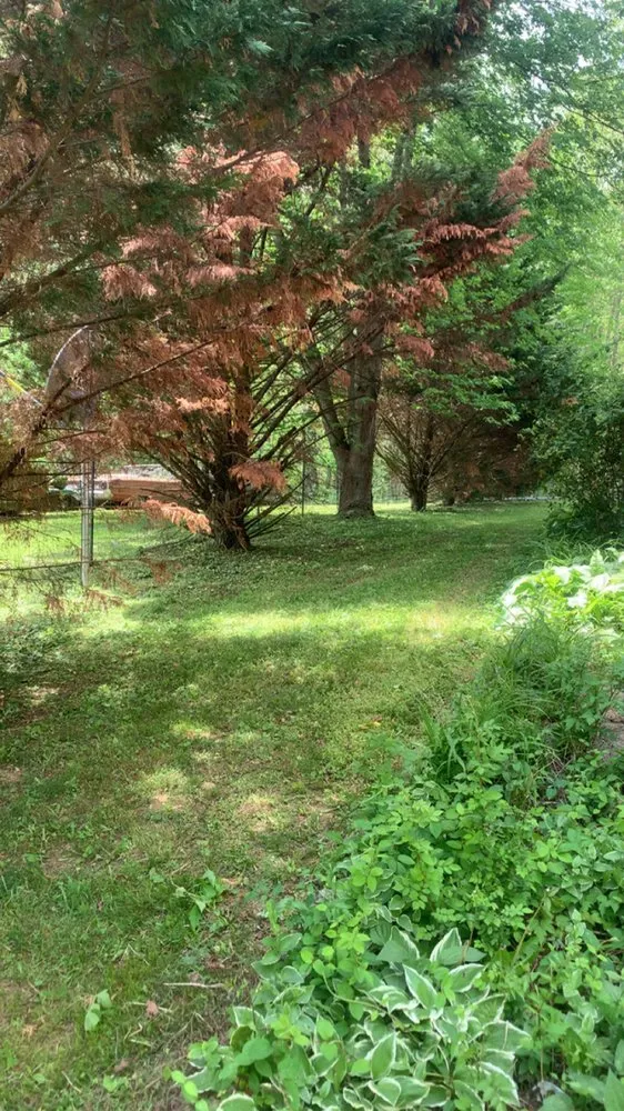 Reliable landscaping services for residential properties in London, KY by Smith and Guth Lawn Care