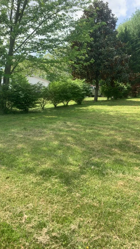 Expert outdoor landscaping near you in London, KY by Smith and Guth Lawn Care