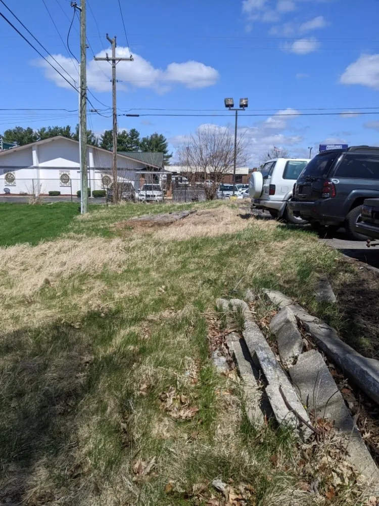 Expert yard cleanup service experts serving South Bend, IN - Smith and Thompsons