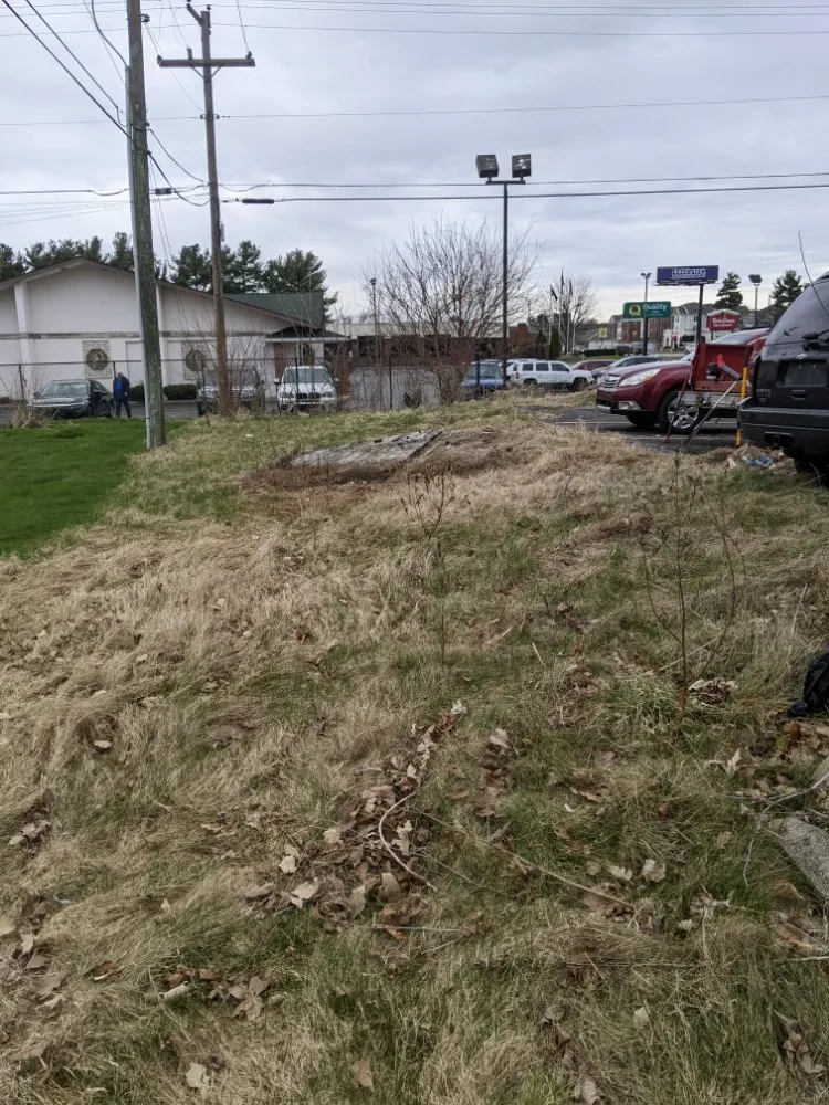 Local landscaping services for residential properties across South Bend, IN - Smith and Thompsons