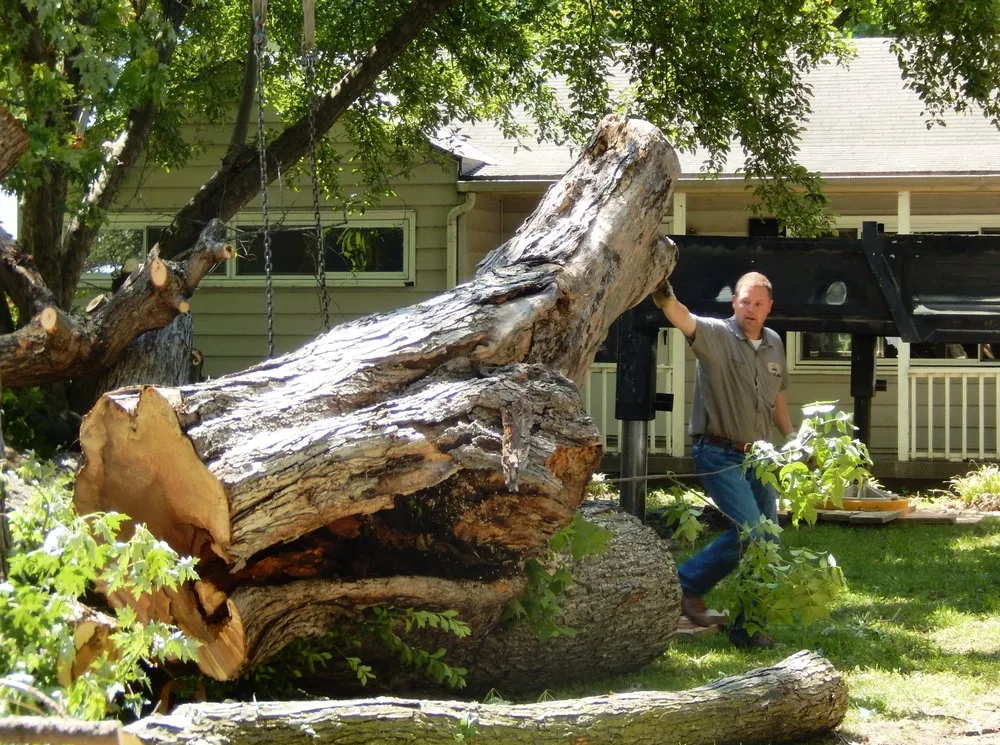 Expert lawn mowing service in Fairway, KS - Smith Brothers Lawn & Tree