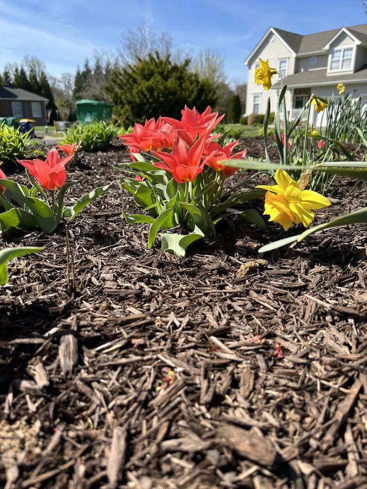 Expert garden landscaping in Cheswold, DE by Smith Co Landscaping & Maintenance