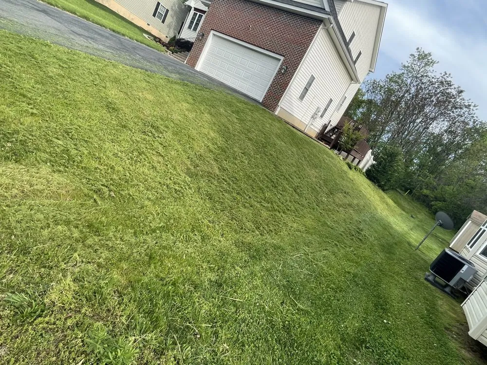 Reliable yard maintenance in Winchester, VA - Smith Company VA