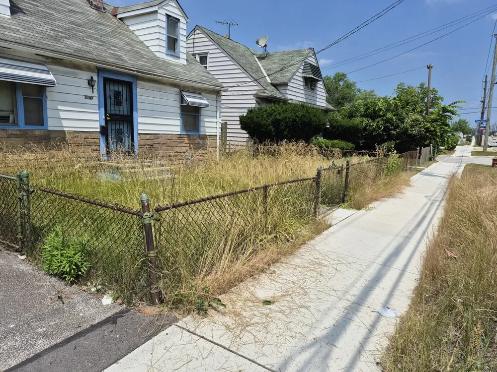 Reliable landscape design in Euclid, OH - Smith Cutz