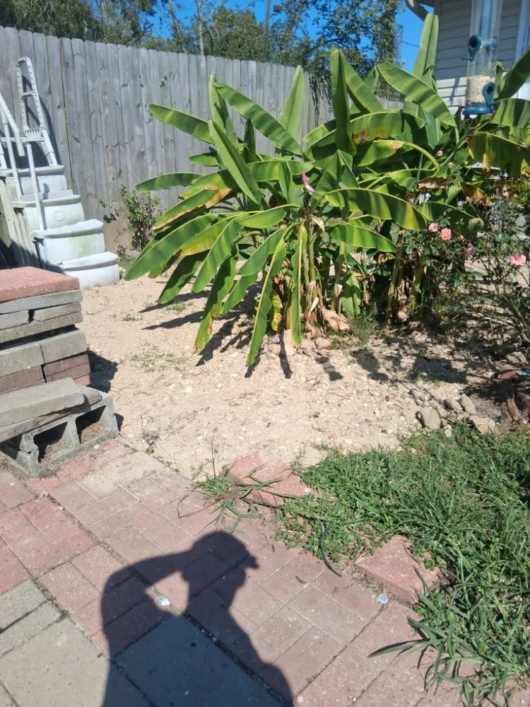 Affordable lawn mowing service near you in Baker, LA by Smith Enterprises