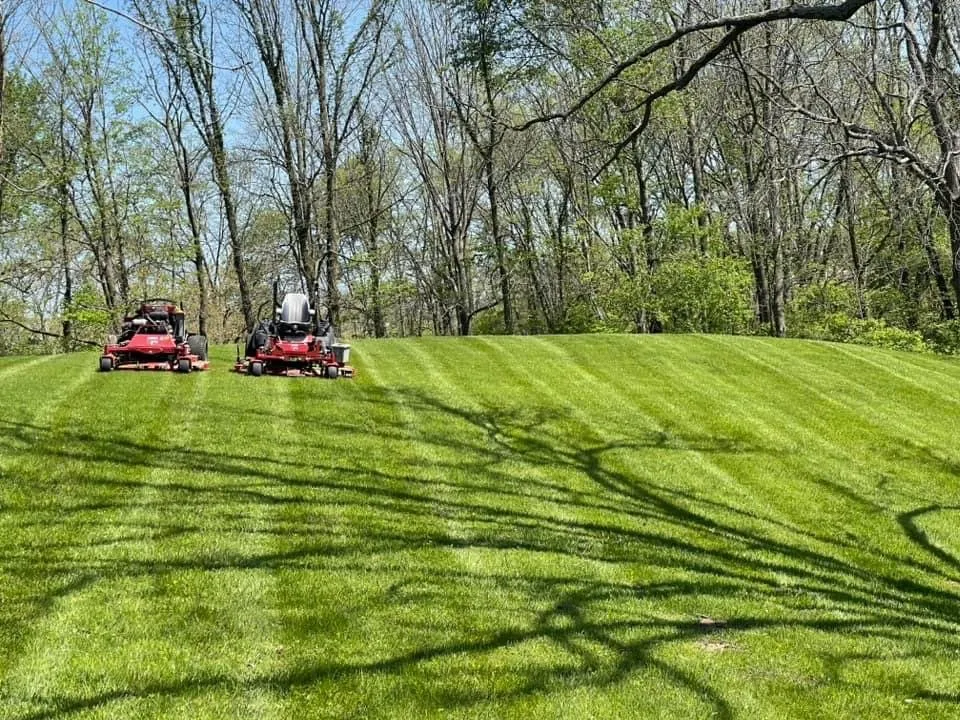 Expert yard cleanup service in Muncie, IN by Smith Family Services