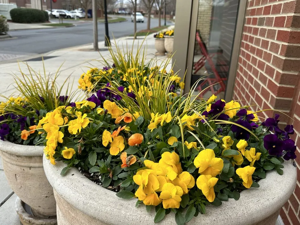 Trusted lawn mowing service for year-round maintenance in Indian Trail, NC by Smith Ground Management