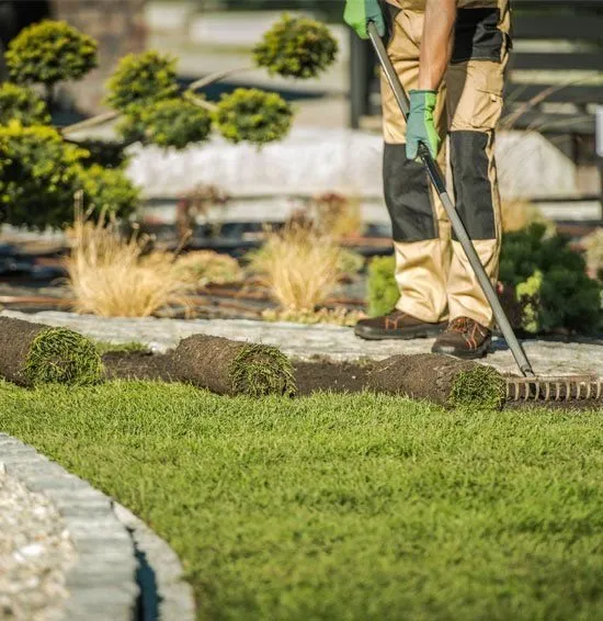 Professional yard cleanup service in Greer, SC - Smith Irrigation