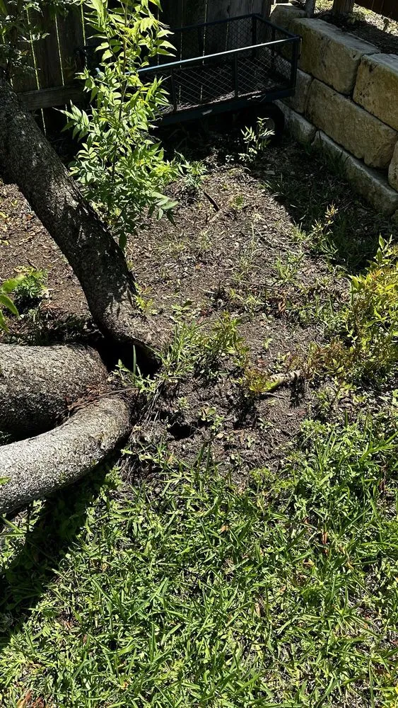 Local yard cleanup service in Gatesville, TX by Smith Land and Tree Services