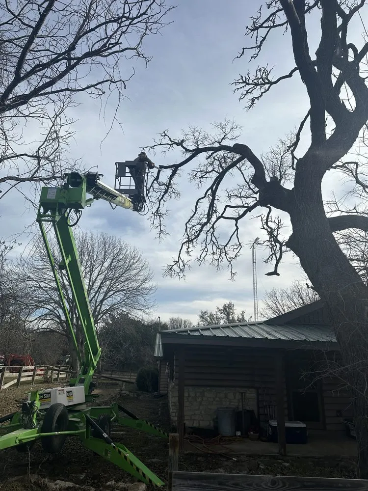 Reliable yard maintenance experts serving Gatesville, TX - Smith Land and Tree Services