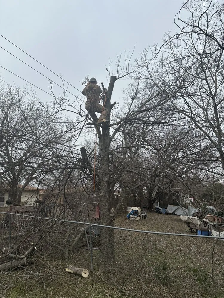 Trusted garden landscaping in Gatesville, TX by Smith Land and Tree Services