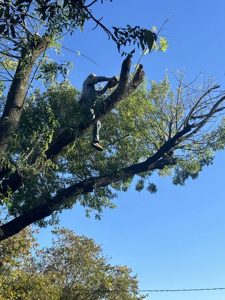 Reliable residential landscaping experts serving Gatesville, TX - Smith Land and Tree Services