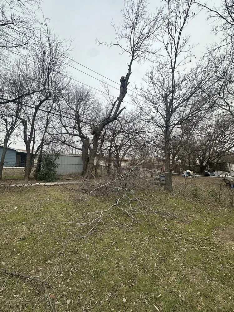 Expert yard maintenance in Gatesville, TX - Smith Land and Tree Services