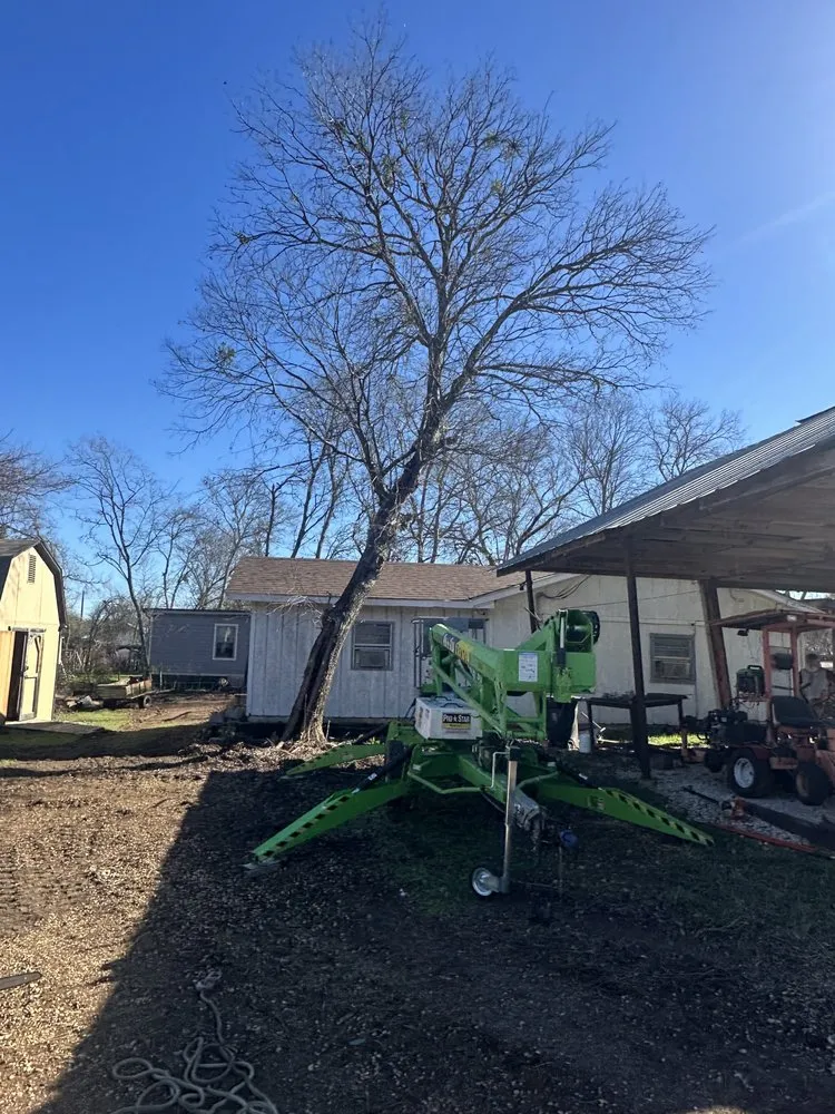 Trusted residential landscaping for year-round maintenance in Gatesville, TX by Smith Land and Tree Services