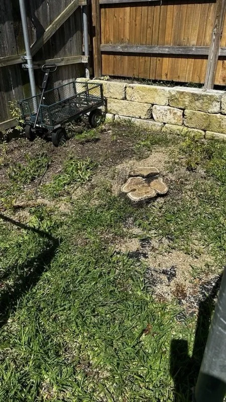 Top-rated yard cleanup service in Gatesville, TX by Smith Land and Tree Services