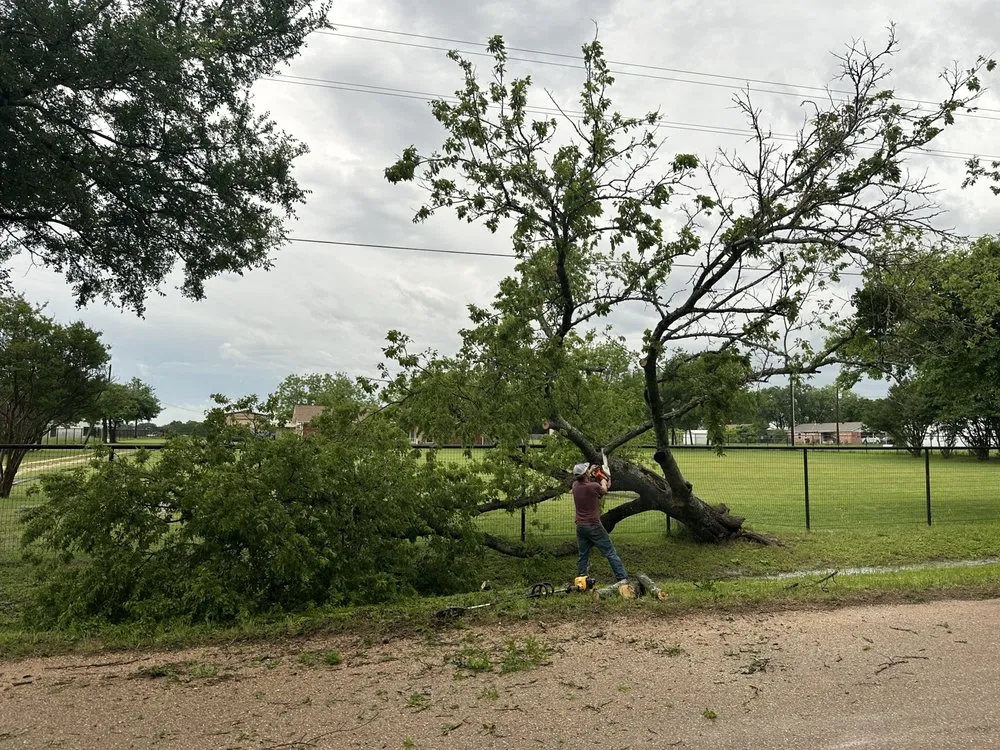 Custom garden landscaping experts serving Gatesville, TX - Smith Land and Tree Services
