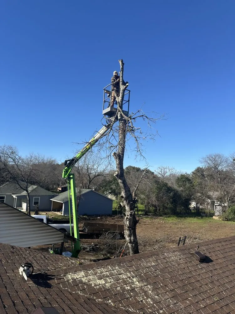 Custom yard maintenance with custom design in Gatesville, TX by Smith Land and Tree Services