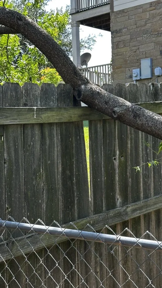 Affordable lawn care service for year-round maintenance in Gatesville, TX by Smith Land and Tree Services