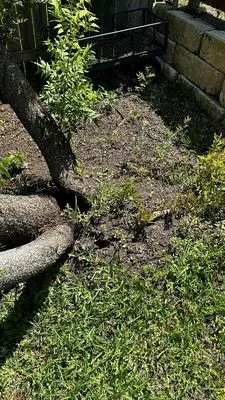 Smith Land and Tree Services