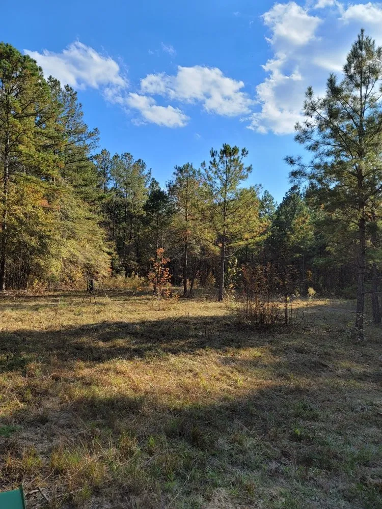 Local landscaping services in Eatonton, GA - Smith Land Improvement