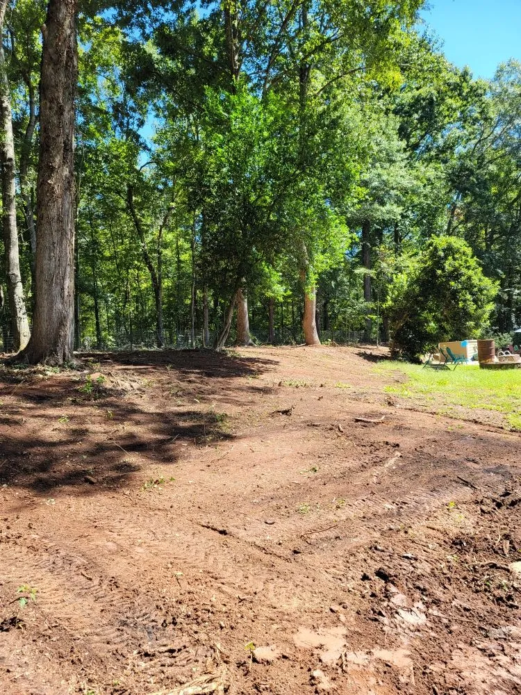 Professional yard cleanup service near you in Eatonton, GA by Smith Land Improvement