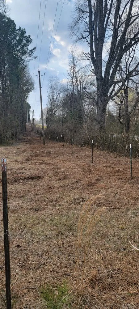 Trusted landscaping services in Wilsonville, AL by Smith Land Management