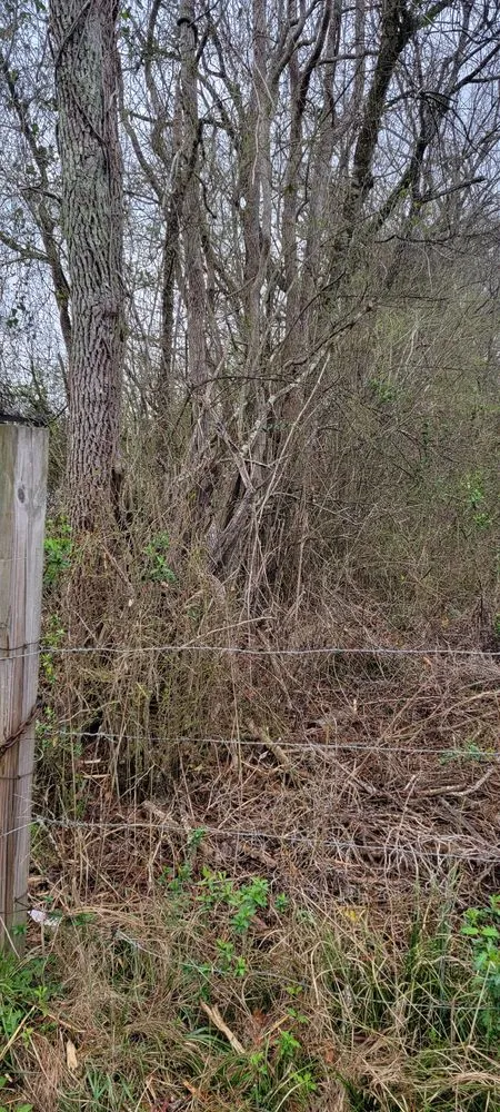 Trusted garden landscaping experts serving Wilsonville, AL - Smith Land Management