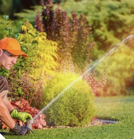 Reliable lawn care service in Wilmington, NC - Smith Land Outdoors