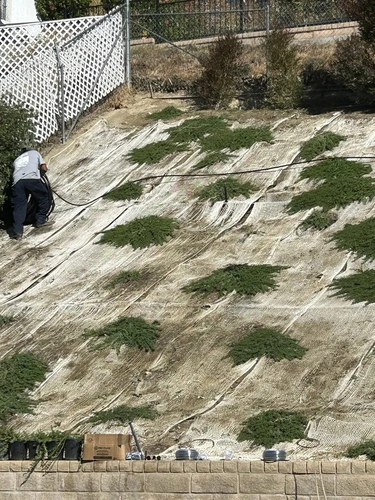 Affordable residential landscaping experts serving Santa Clarita, CA - Smith Landscape & Maintenance