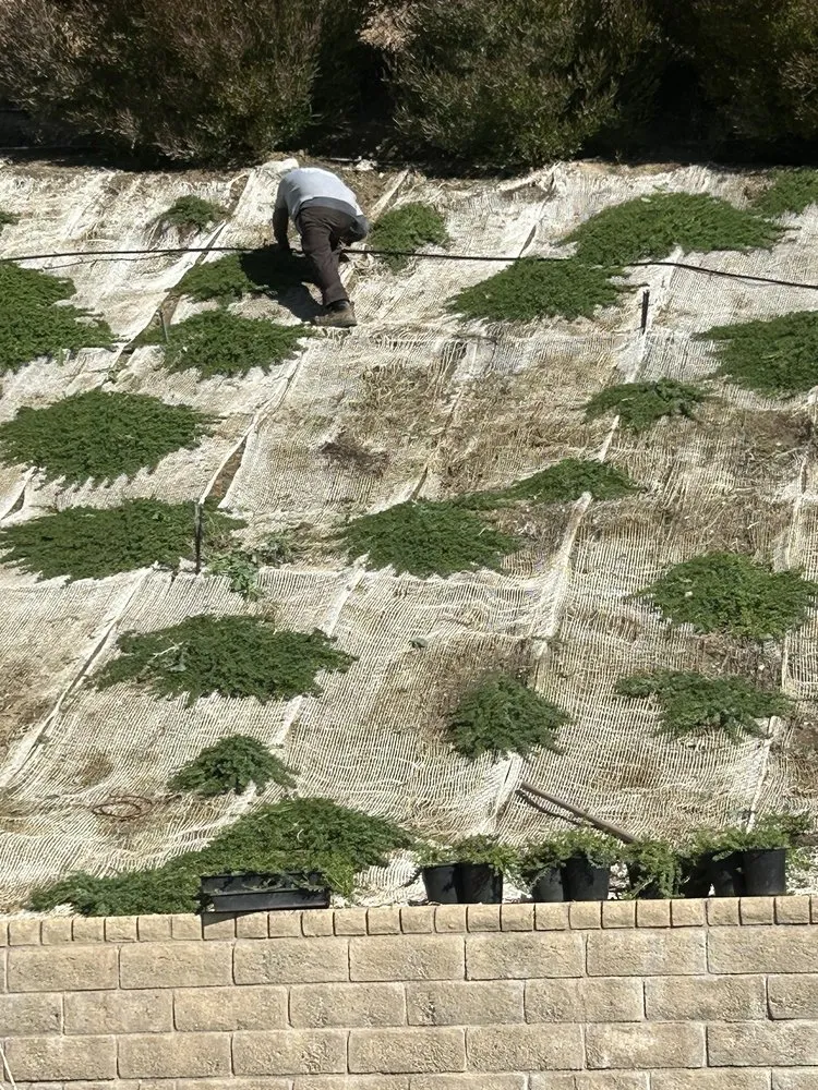 Trusted yard maintenance for outdoor upgrades in Valencia, CA by Smith Landscape