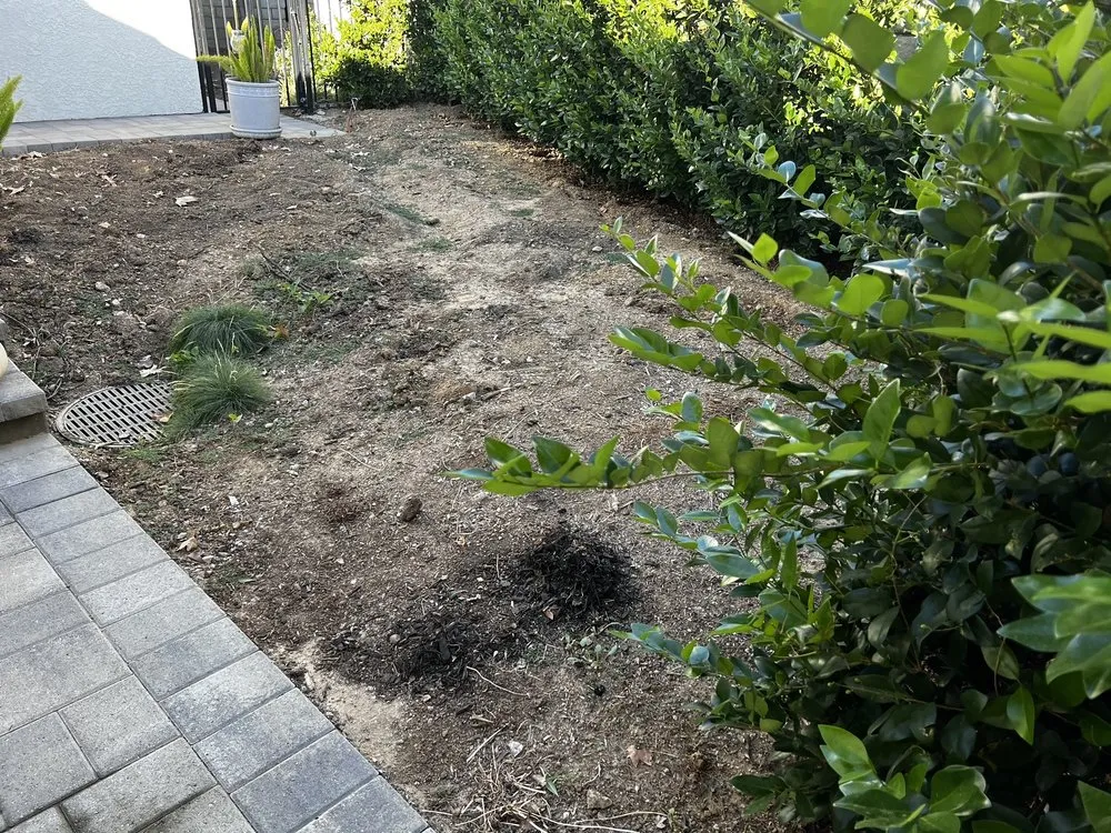 Affordable lawn mowing service for beautiful yards across Valencia, CA - Smith Landscape