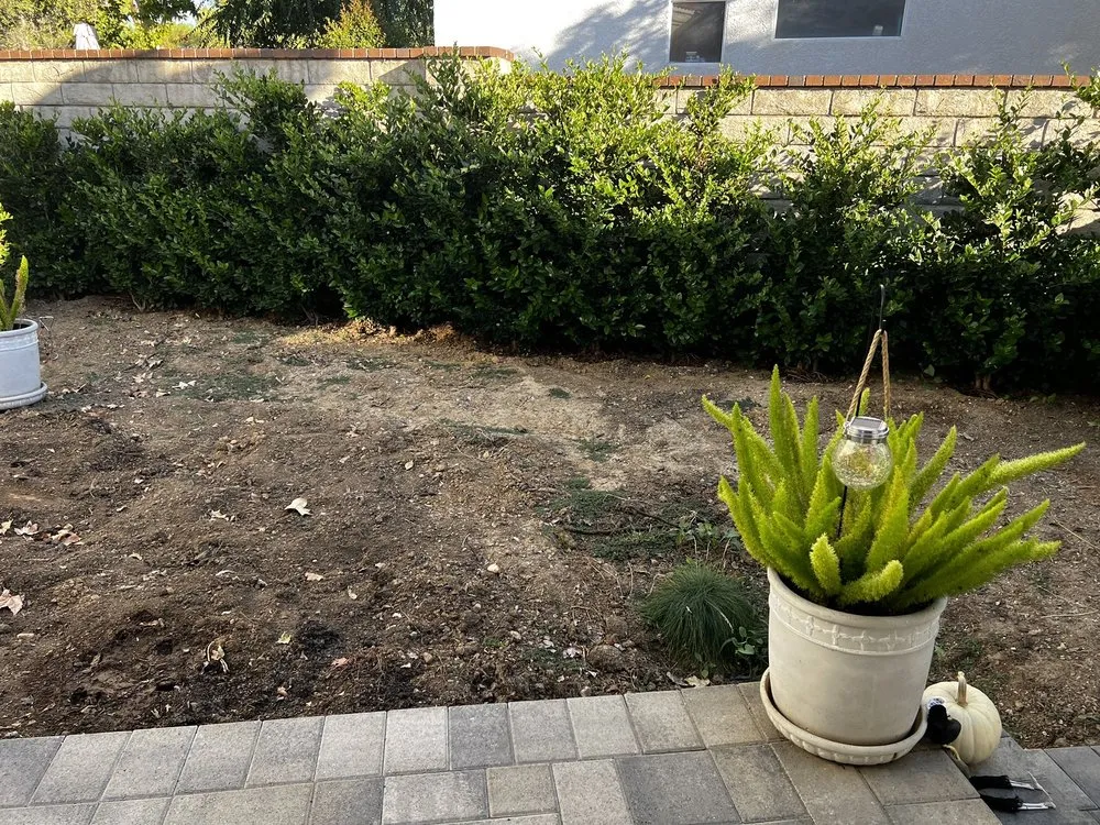 Reliable landscaping services near you across Valencia, CA - Smith Landscape