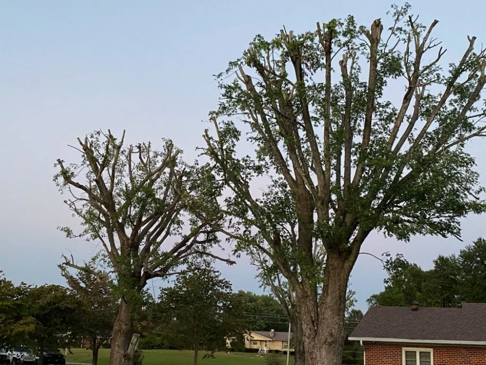 Affordable landscape installation experts serving McMinnville, TN - Smith Landscaping & Construction