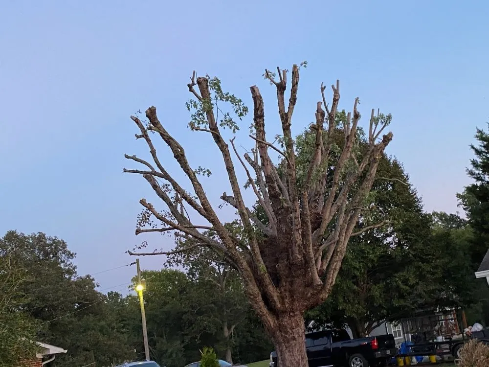 Local yard maintenance near you in McMinnville, TN by Smith Landscaping & Construction