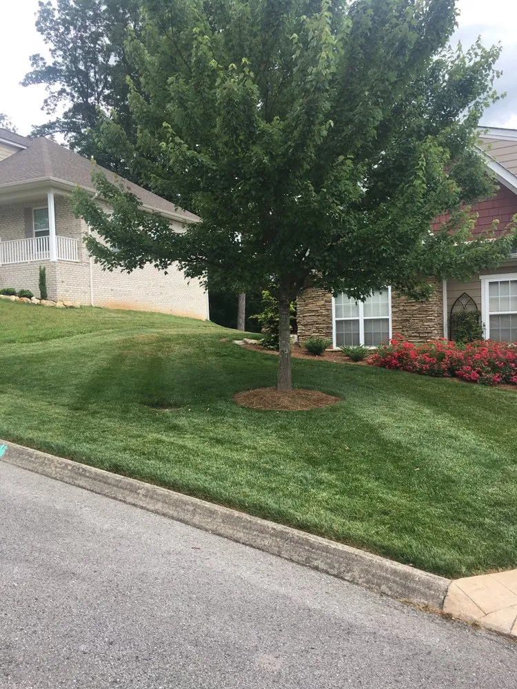 Professional yard maintenance with custom design in Maynardville, TN by Smith landscaping and lawn care