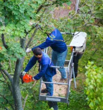 Local yard cleanup service with custom design in Calumet Park, IL by Smith Landscaping