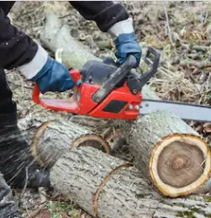 Expert landscaping services with custom design in Calumet Park, IL by Smith Landscaping