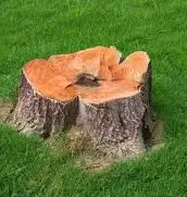 Expert residential landscaping for homes across Calumet Park, IL - Smith Landscaping