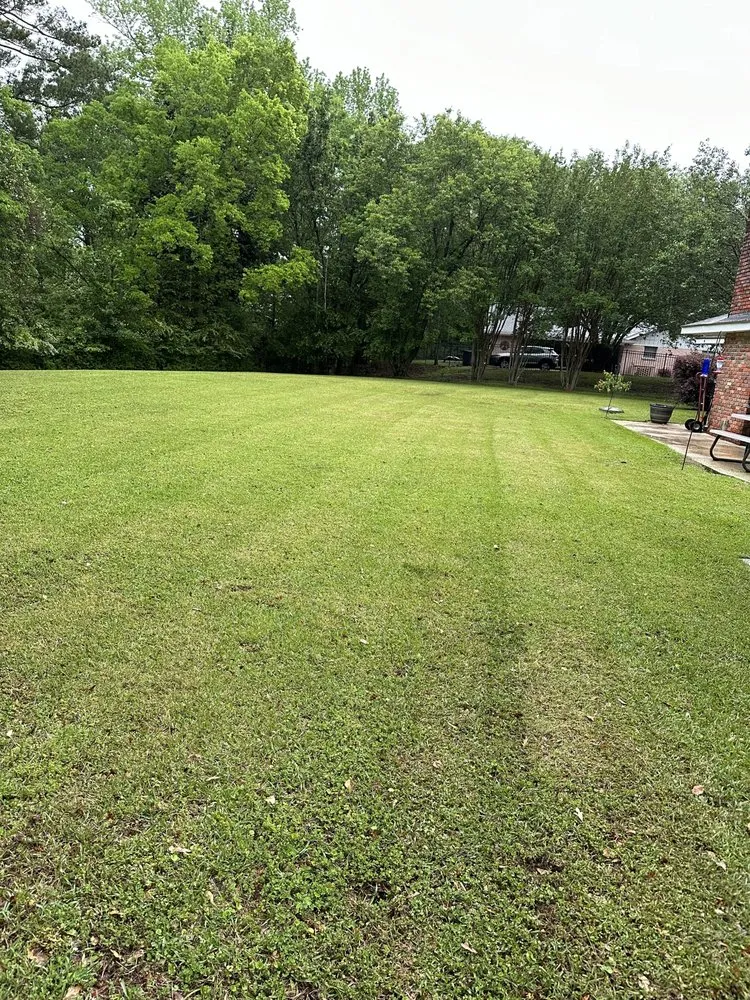 Reliable lawn care service near you across Columbus, MS - Smith Landscaping