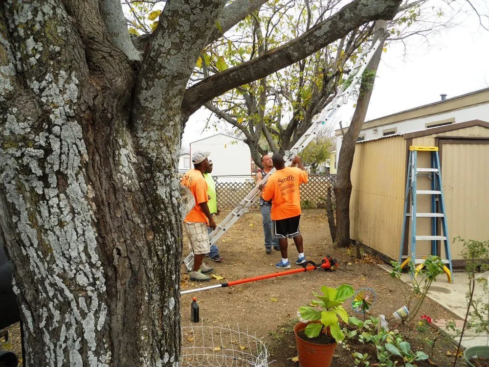 Local landscape design for year-round maintenance across Harker Heights, TX - Smith Landscaping