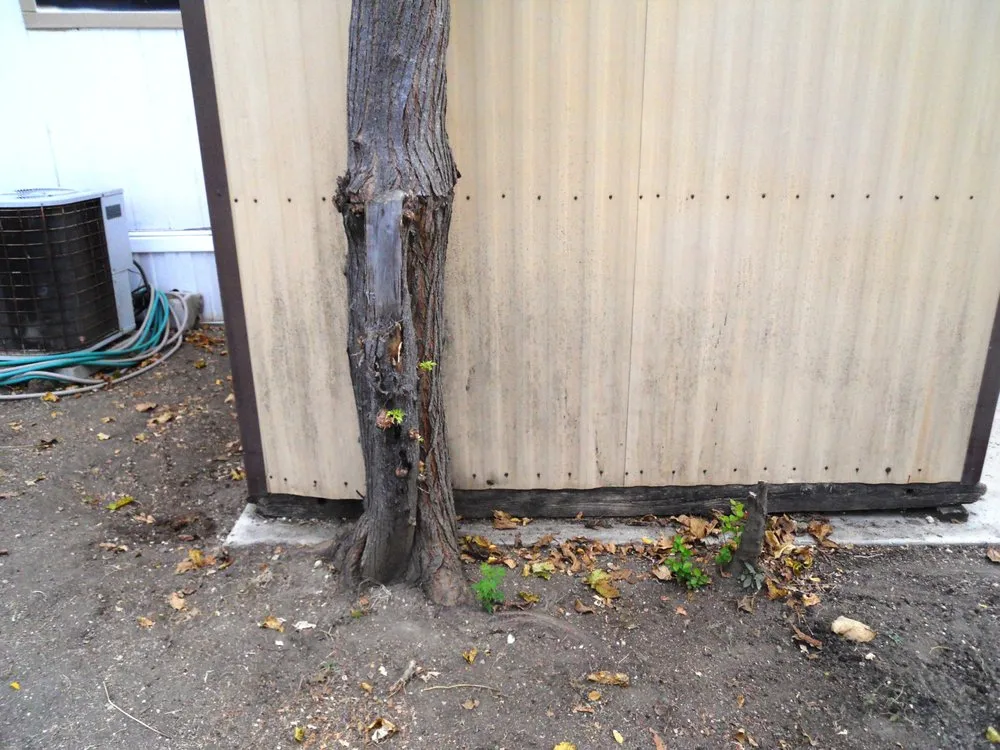 Top-rated residential landscaping in Harker Heights, TX - Smith Landscaping