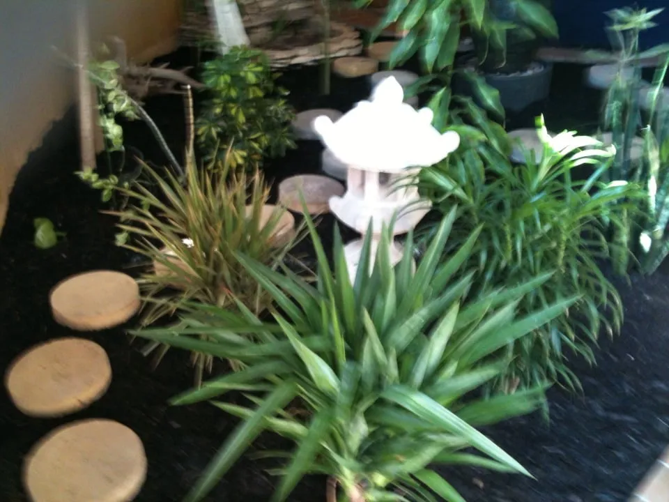 Reliable residential landscaping in Harker Heights, TX - Smith Landscaping