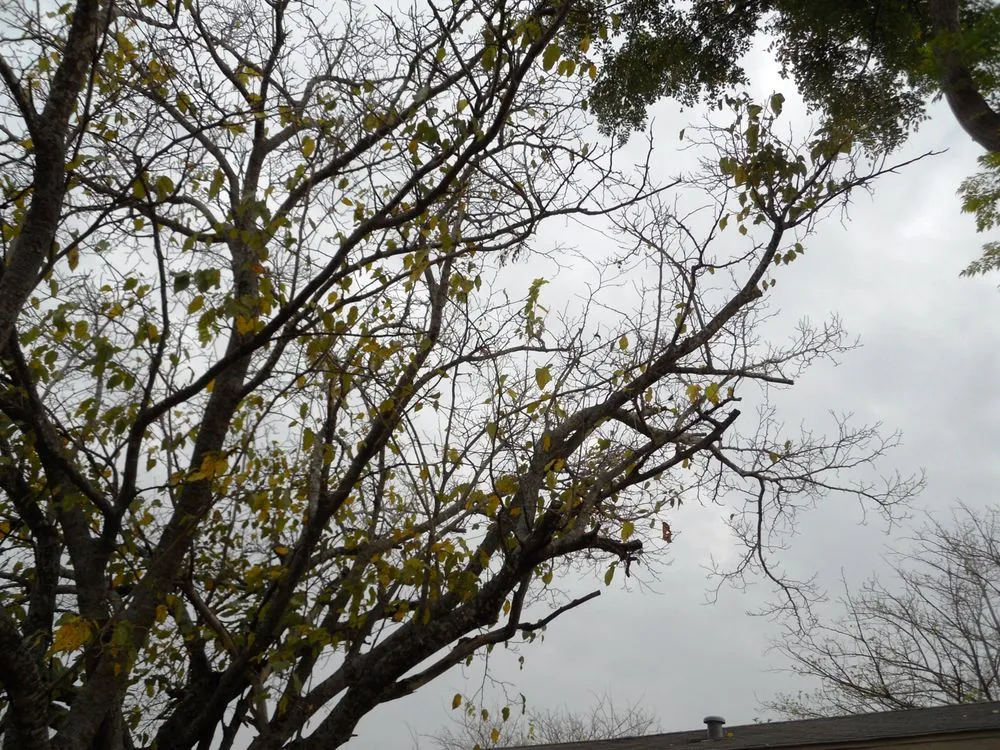 Reliable landscape installation near you across Harker Heights, TX - Smith Landscaping