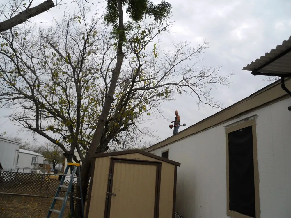 Expert yard maintenance in Harker Heights, TX - Smith Landscaping