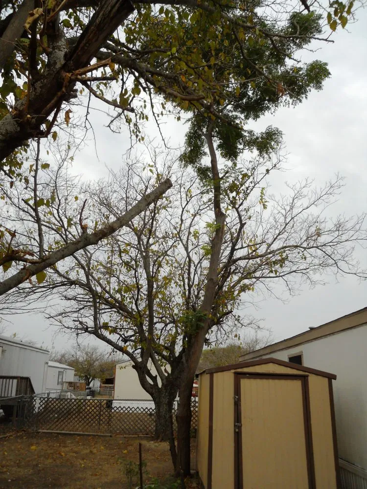 Professional yard maintenance in Harker Heights, TX - Smith Landscaping