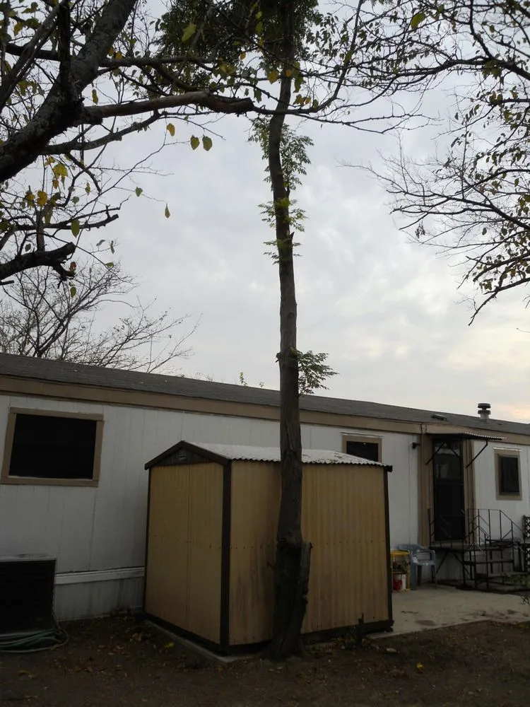 Professional landscape installation for residential properties across Harker Heights, TX - Smith Landscaping